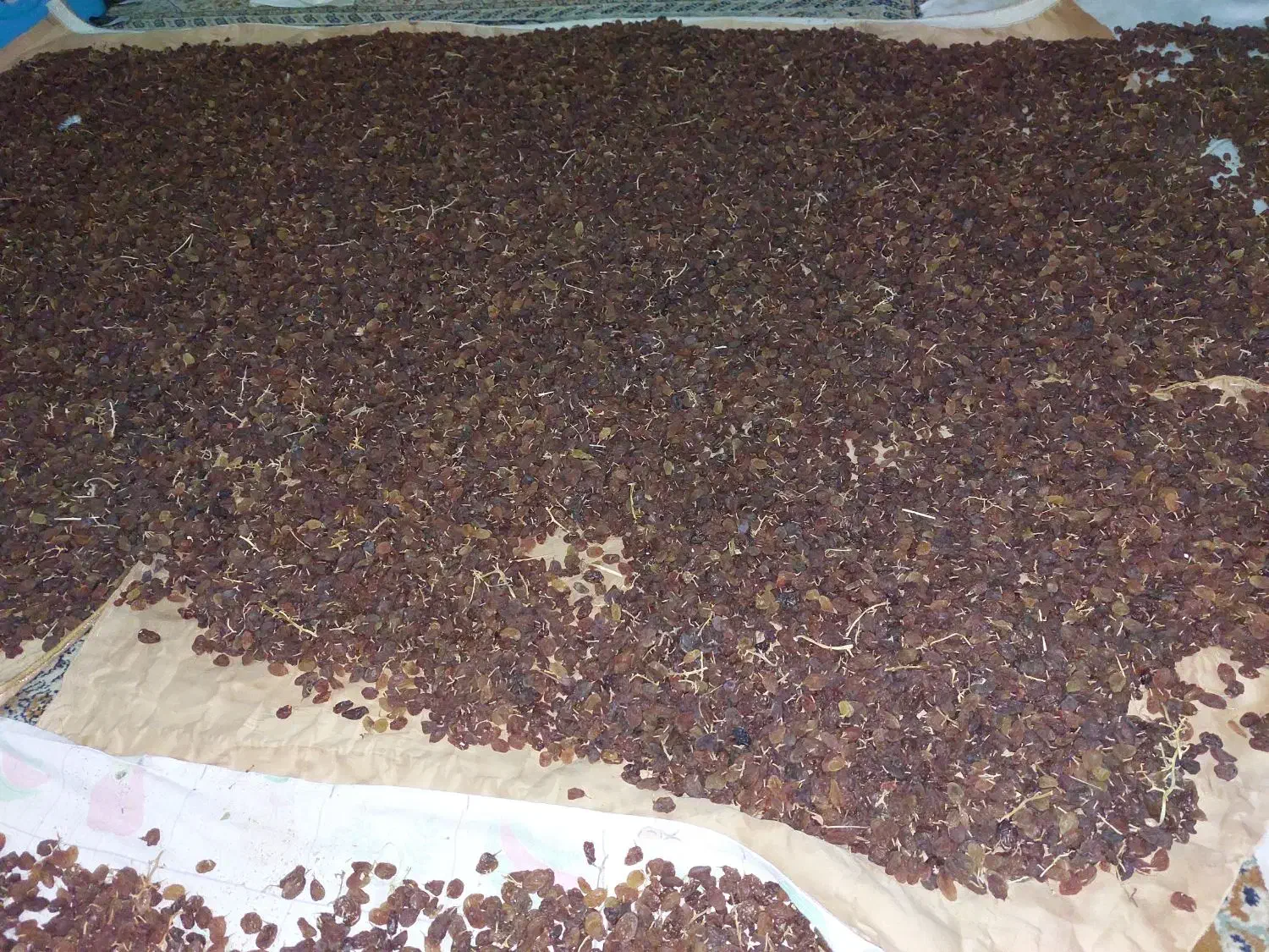 کشمش درجه 1|خوردنی و آشامیدنی|کرمانشاه, |دیوار