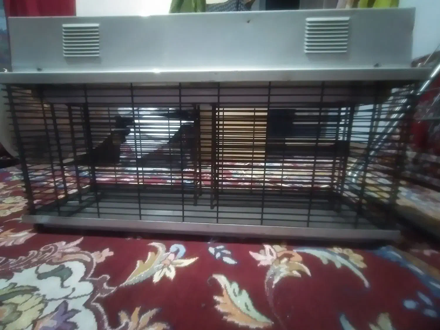 حشره کش برقی شهاب۱۲۰|لوازم نظافت|قدس, شهر‌قدس|دیوار