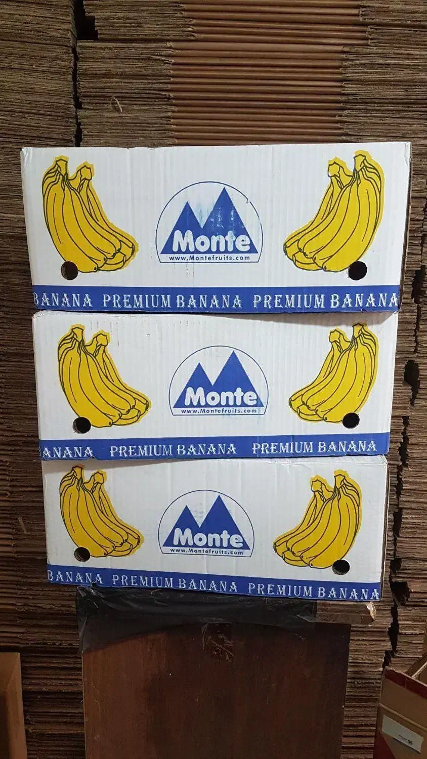 کارتن موزی ۲۰ عدد سالم|ابزارآلات|تهران, هفت چنار|دیوار