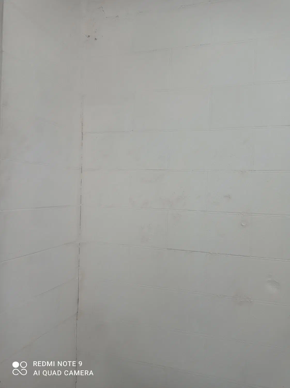 منزل اجاره صغاد|اجارهٔ آپارتمان|بهمن صغاد, |دیوار