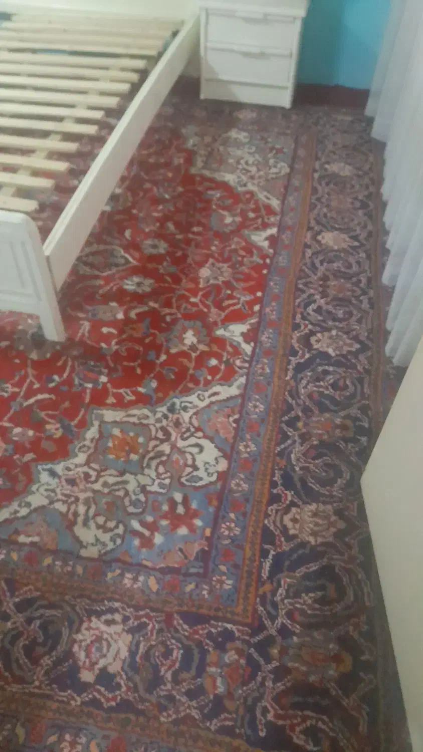 دو عدد فرش دست بافت|فرش|همدان, |دیوار