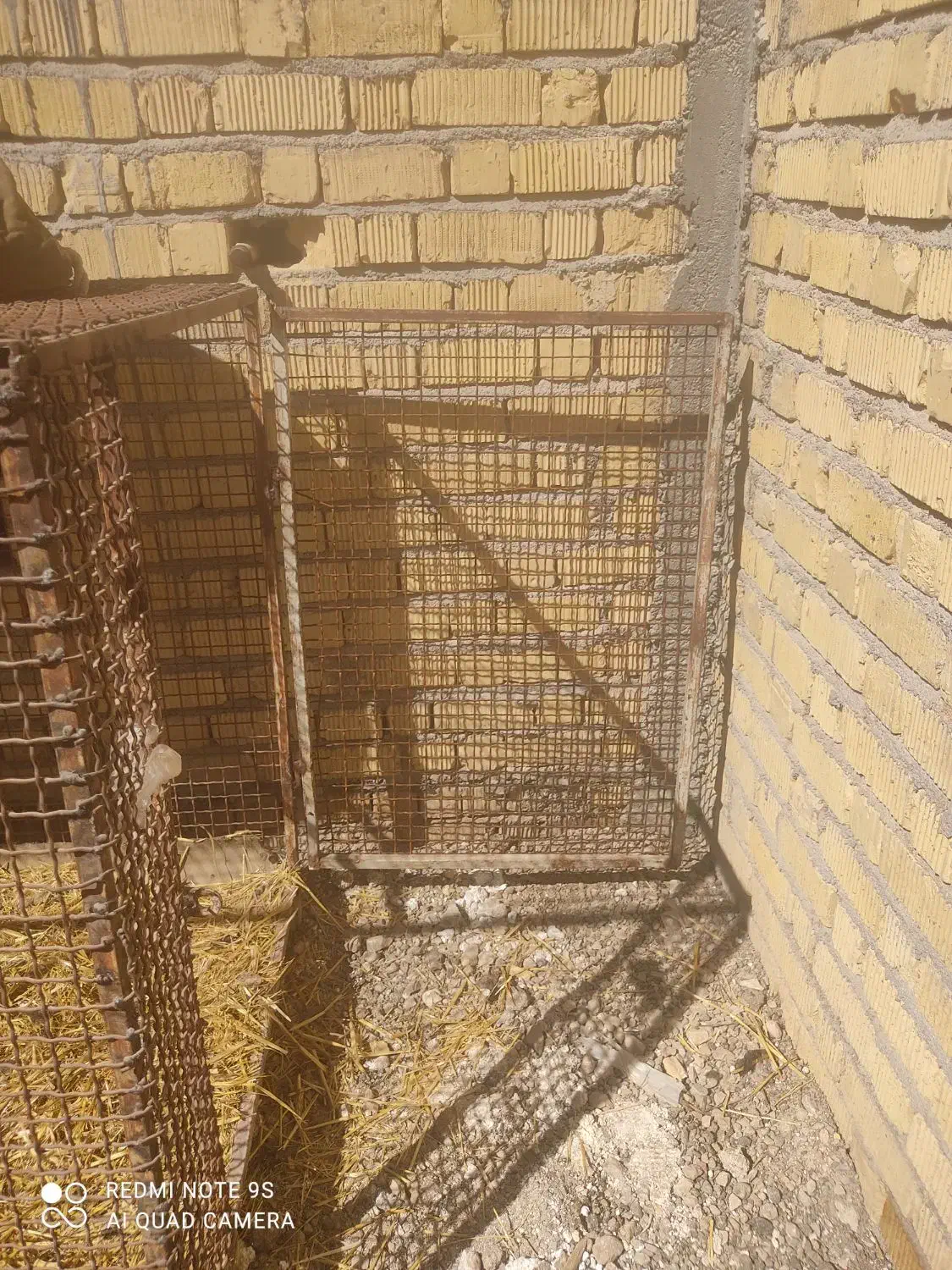 قفس|لوازم جانبی حیوانات|مرودشت, ولایت|دیوار