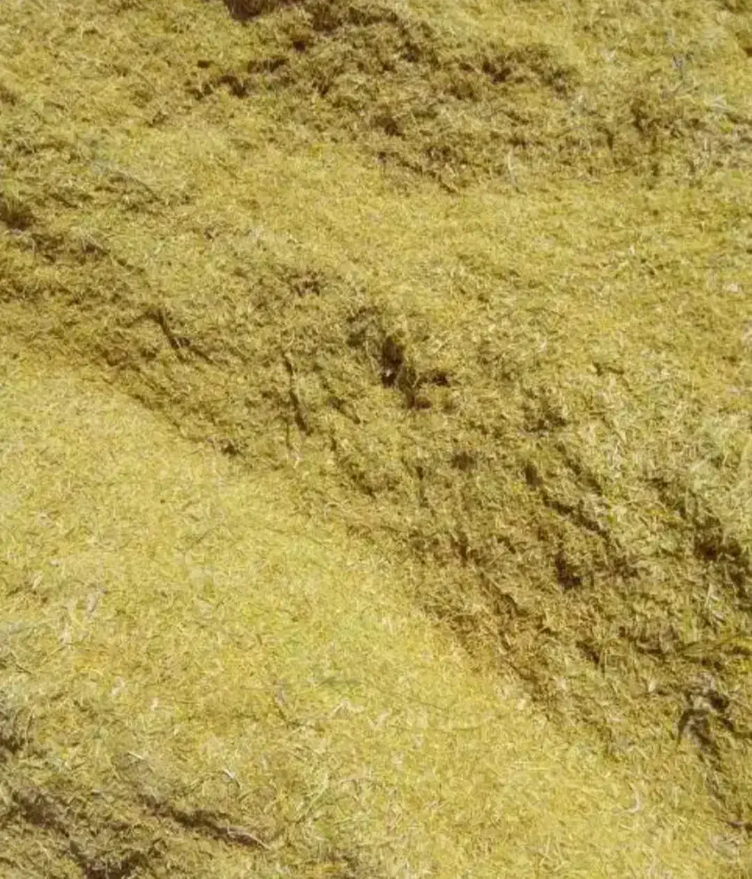 کاه عدس|لوازم جانبی حیوانات|زنجان, |دیوار