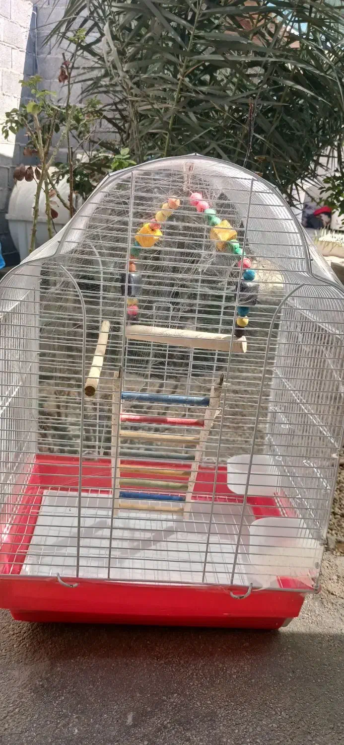 قفس پرنده|لوازم جانبی حیوانات|آبپخش, |دیوار