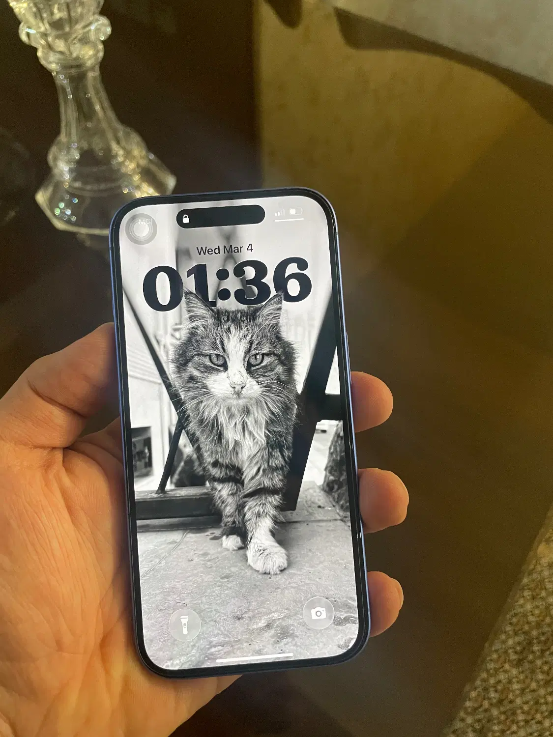 iphone 16 در حد|موبایل|تبریز, |دیوار