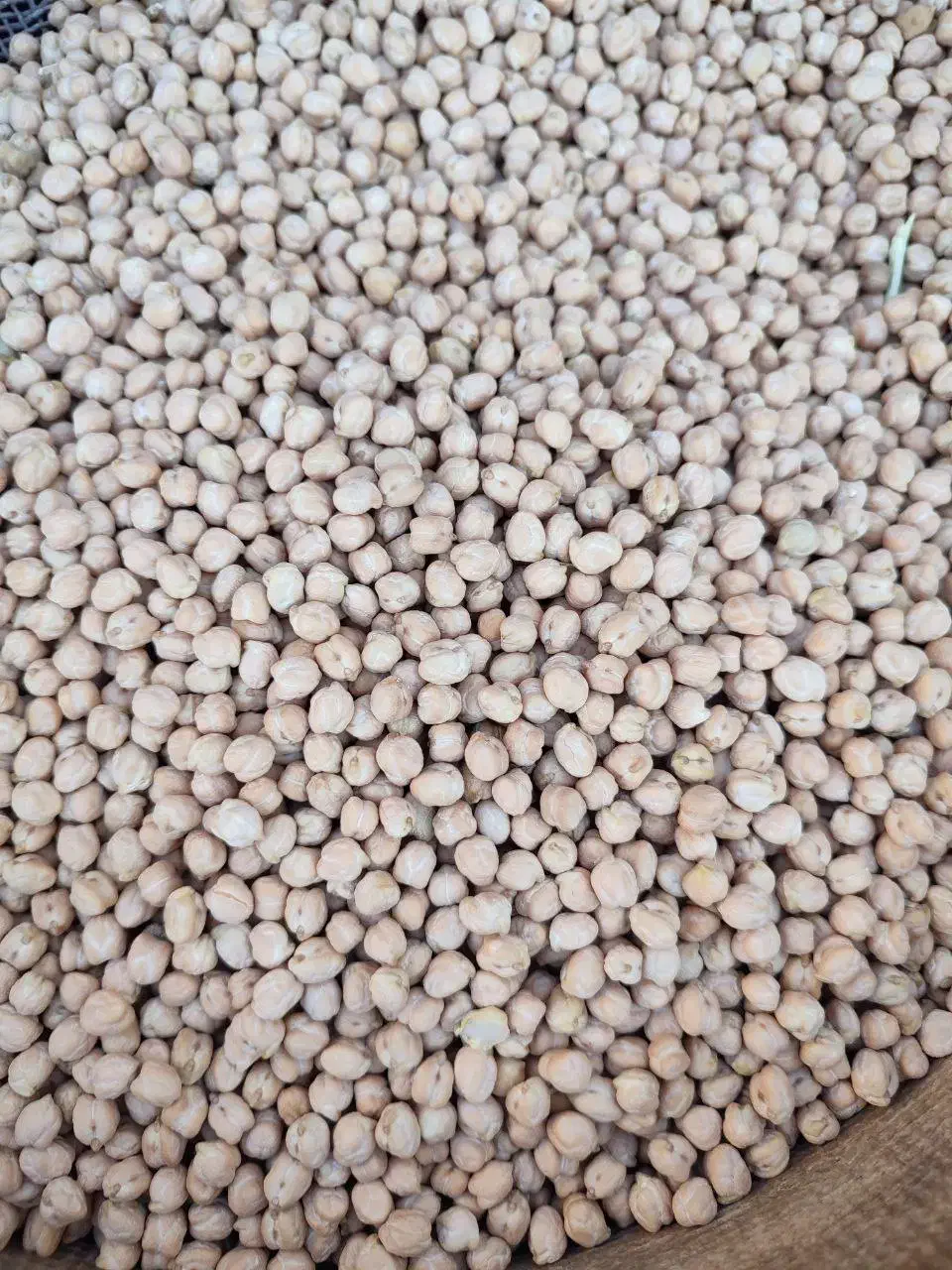 نخود امسال|خوردنی و آشامیدنی|سراجو, |دیوار