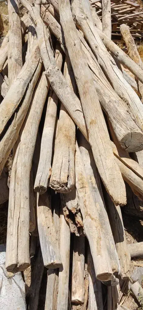 خرید و فروش چوب با بهترین قیمت|عمدهفروشی|شیراز, کیان آباد|دیوار