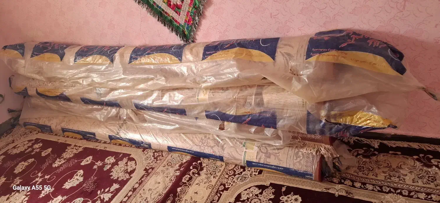 فرش|فرش|بردسیر, |دیوار