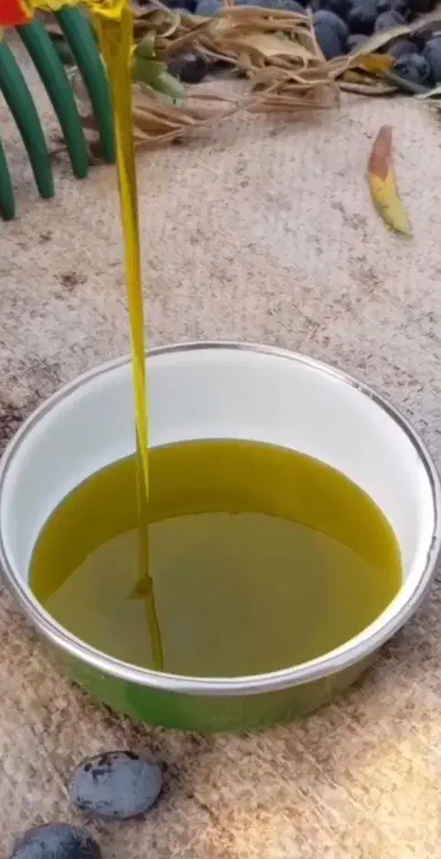 20لیتر روغن زیتون اصل|خوردنی و آشامیدنی|منجیل, |دیوار