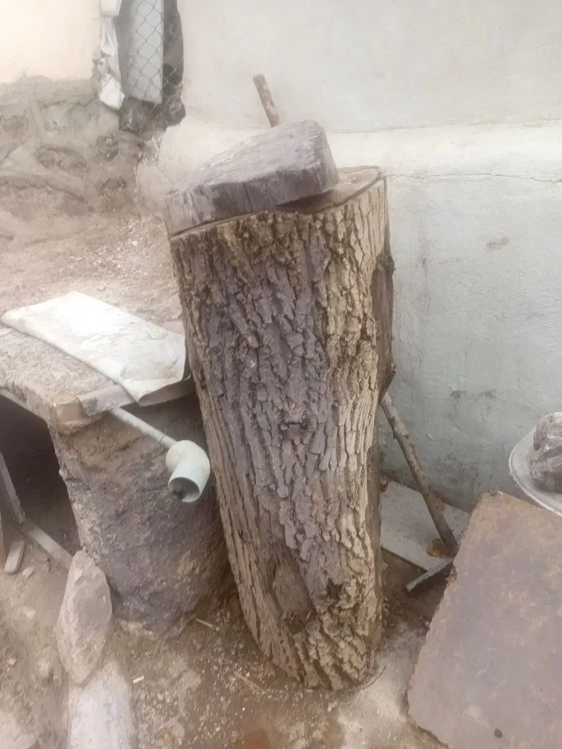 فروش تنه درخت گردو|گل و گیاه طبیعی|لواسان, |دیوار