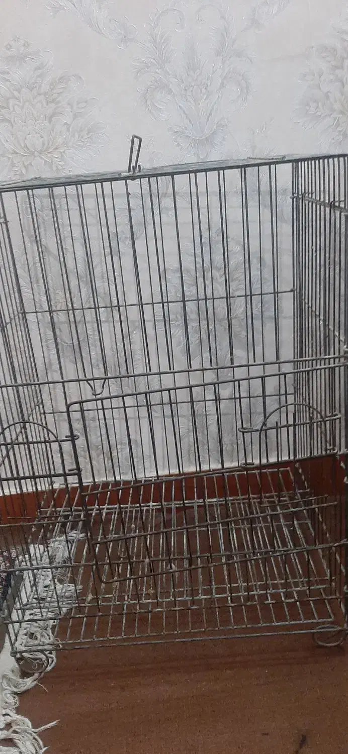 قفس کاسکو یا طوطی|لوازم جانبی حیوانات|اهواز, بیست متری شهرداری|دیوار