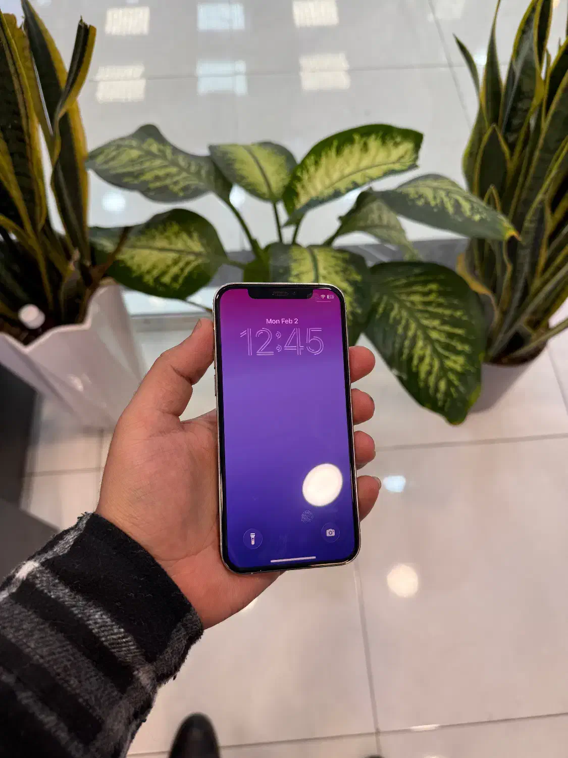 Iphone 12 pro 256 zaa از دم قسط و نقدی|موبایل|کرج, مهرویلا جنوبی|دیوار