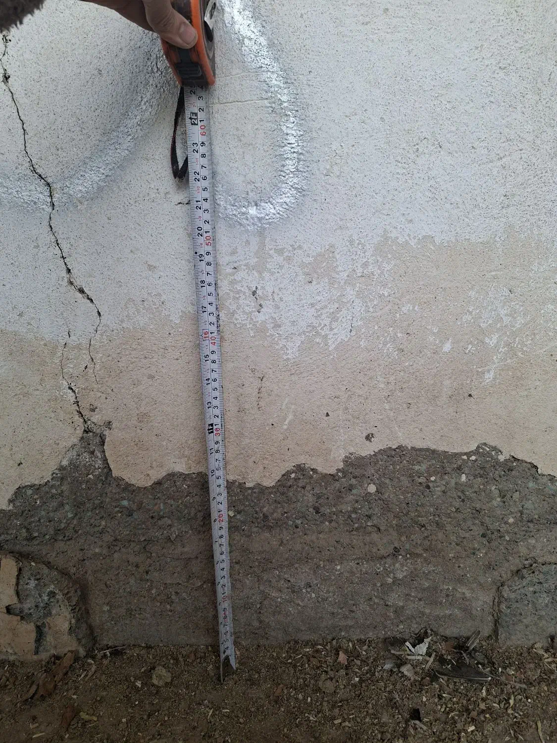 مرغ لاری شش دانگ|حیوانات مزرعه|ماهدشت, |دیوار