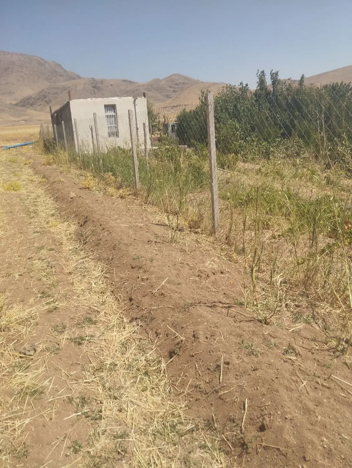 زمین نزدیک روستاوبالای جاده اصلی تعویض باماشین|فروش زمین و ملک کلنگی|دینور, |دیوار