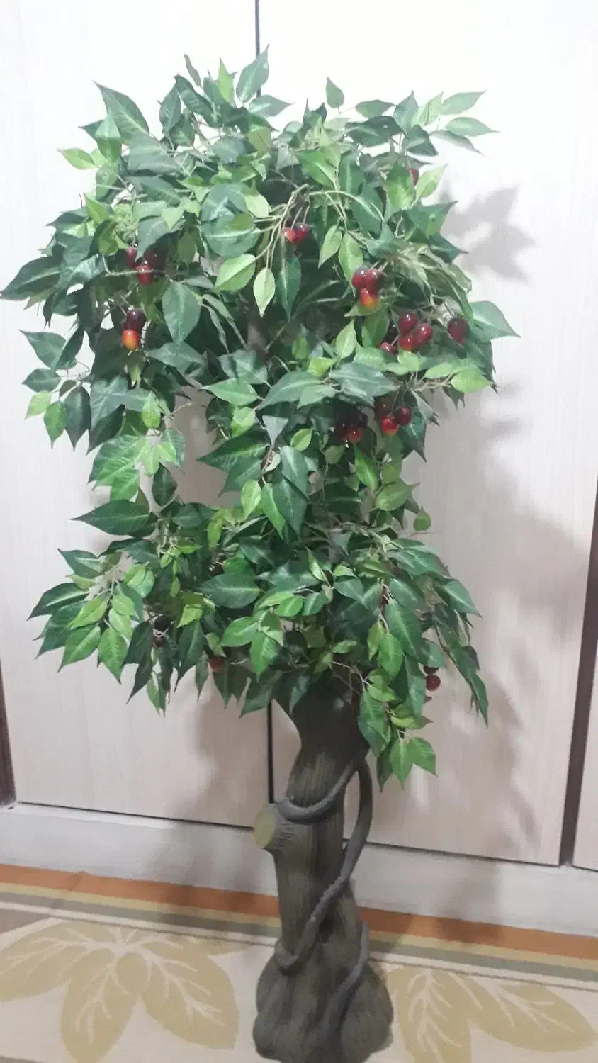 درختچه گیلاس مصنویی|گل مصنوعی|بندرعباس, |دیوار