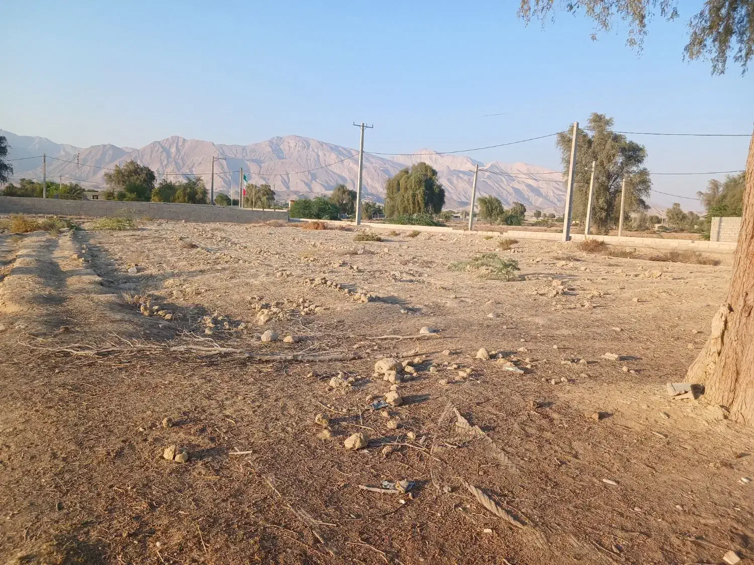 زمین|فروش زمین و ملک کلنگی|فین, |دیوار