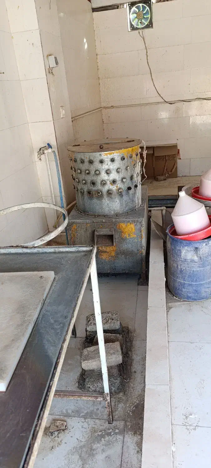 پرکن مرغ|لوازم جانبی حیوانات|دره شهر, |دیوار