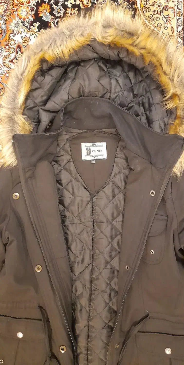 کاپشن زنانه|لباس|ارومیه, |دیوار