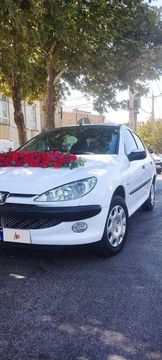 206SD V8|خودرو سواری و وانت|همدان, |دیوار