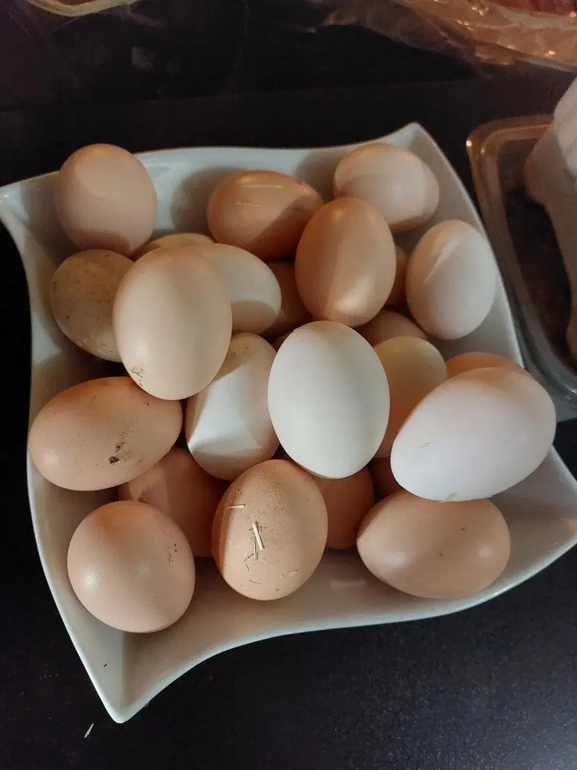 تخم مرغ محلی ارگانیک|خوردنی و آشامیدنی|کرج, دهقان ویلا|دیوار