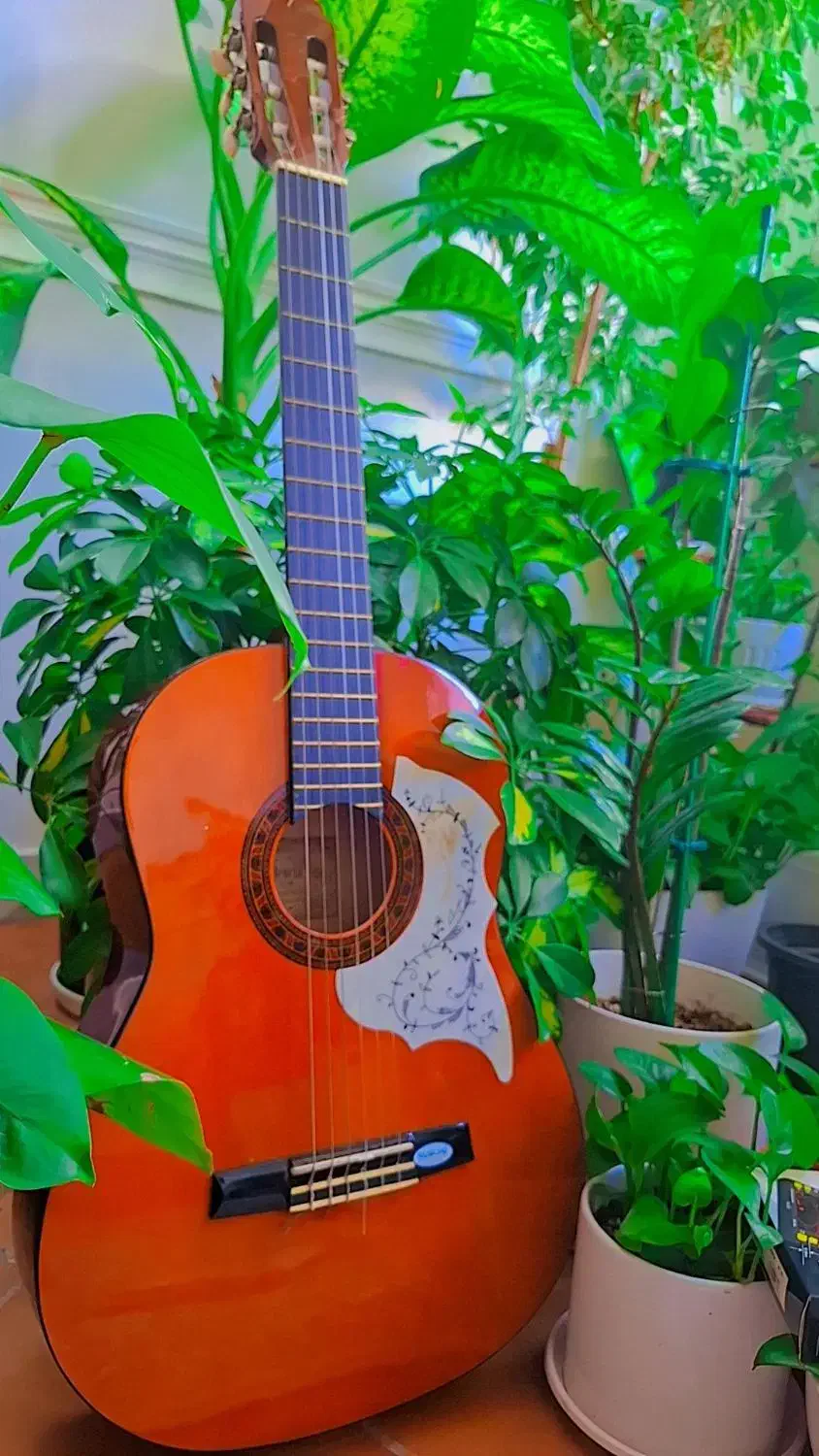 گیتار والنسیا CG160|گیتار، بیس، امپلیفایر|تهران, تهرانپارس شرقی|دیوار