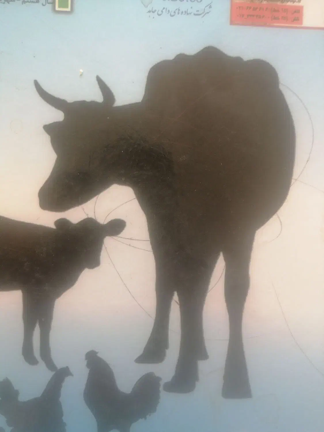 کارگر ساده|استخدام صنعتی، فنی، مهندسی|کازرون, |دیوار