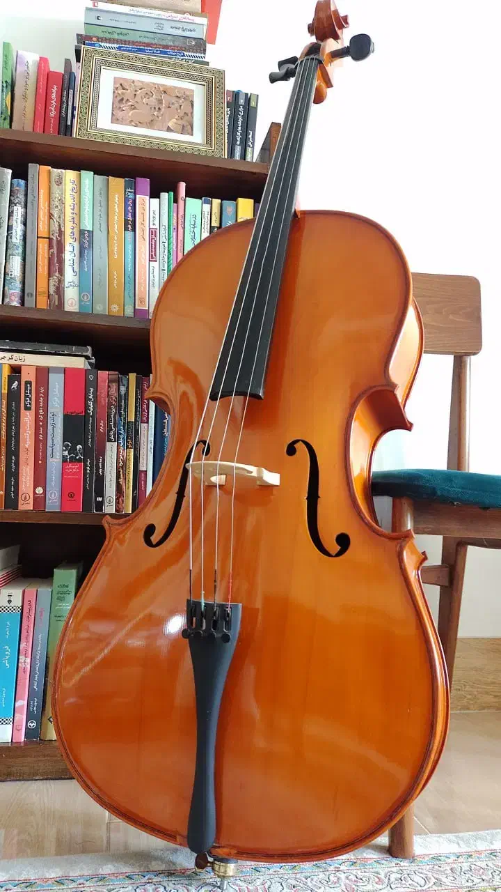 فروش ویولنسل تی اف 132 سایز 4/4|ویولن|بابل, |دیوار
