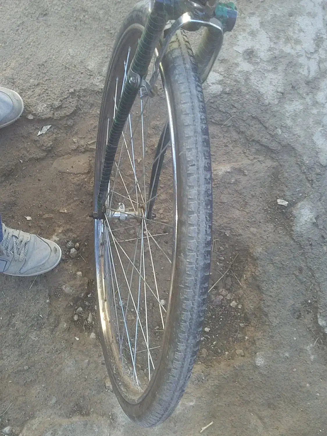 دوچرخه انگلیسی قدیمی فونیکس اصل|دوچرخه، اسکیت، اسکوتر|بوئین و میاندشت, |دیوار