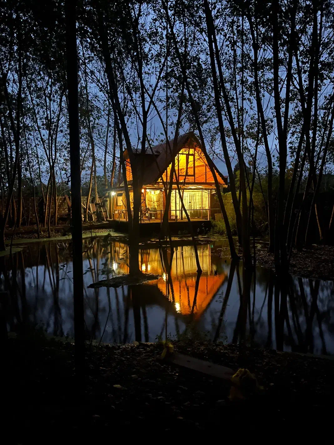 باغ ویلا فوق العاده (کلبه چوبی)|اجارهٔ کوتاه‌مدت ویلا و باغ|کومله, |دیوار