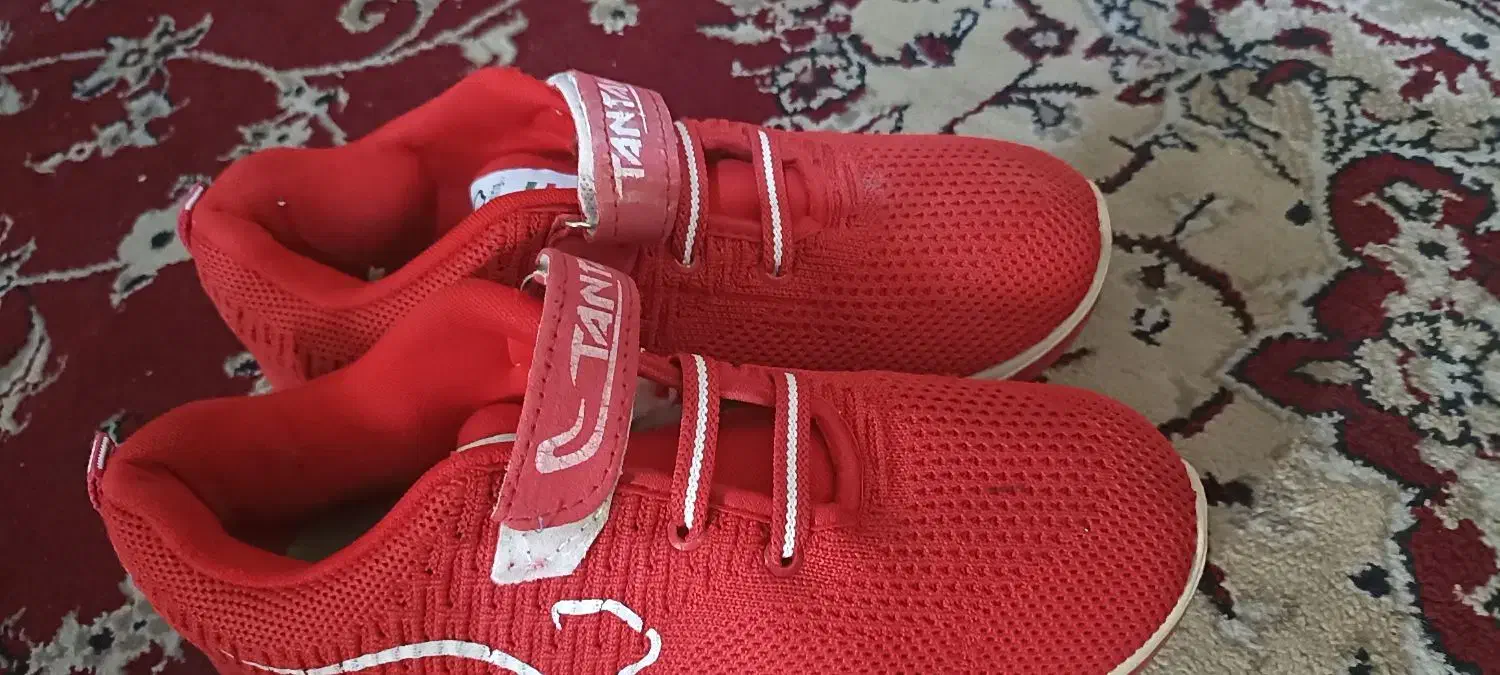 کفش اسپرت|کیف، کفش، کمربند|زابل, |دیوار