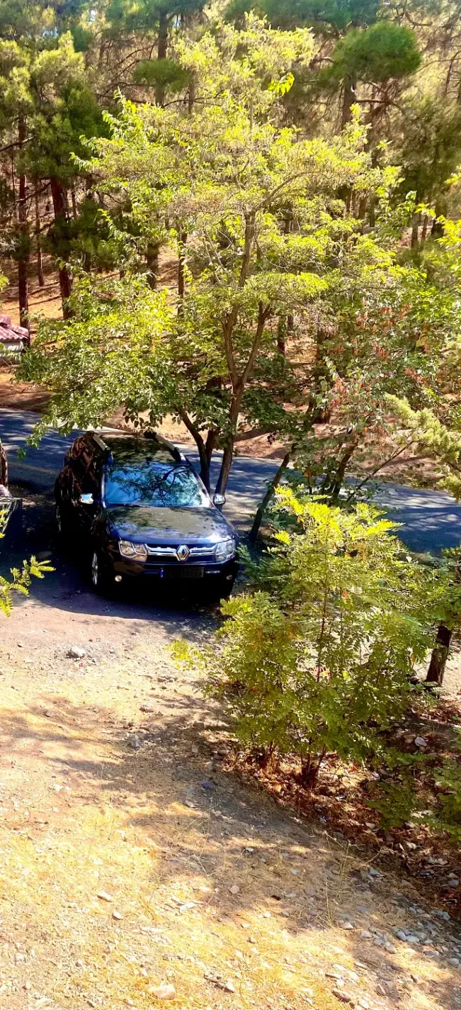 رنو داستر|خودرو سواری و وانت|تهران, کاشانک|دیوار