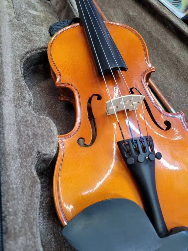 ویولن ۱/۴ رناتو اصلی سالم|ویولن|اصفهان, سعادتآباد|دیوار