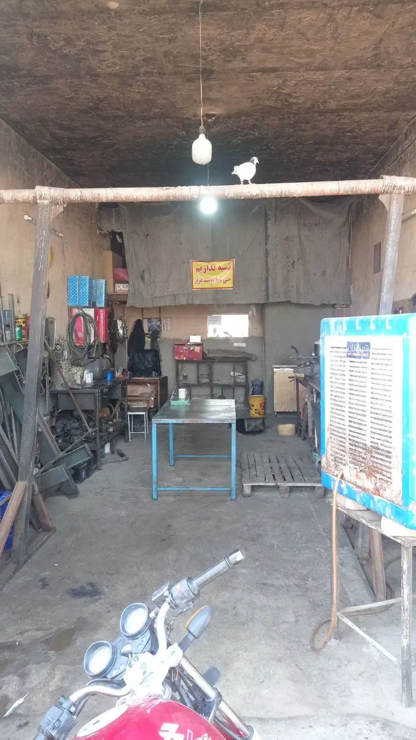 مغازه 50متری|اجارهٔ مغازه و غرفه|سبزوار, شهرک صنعتی فرودگاه|دیوار