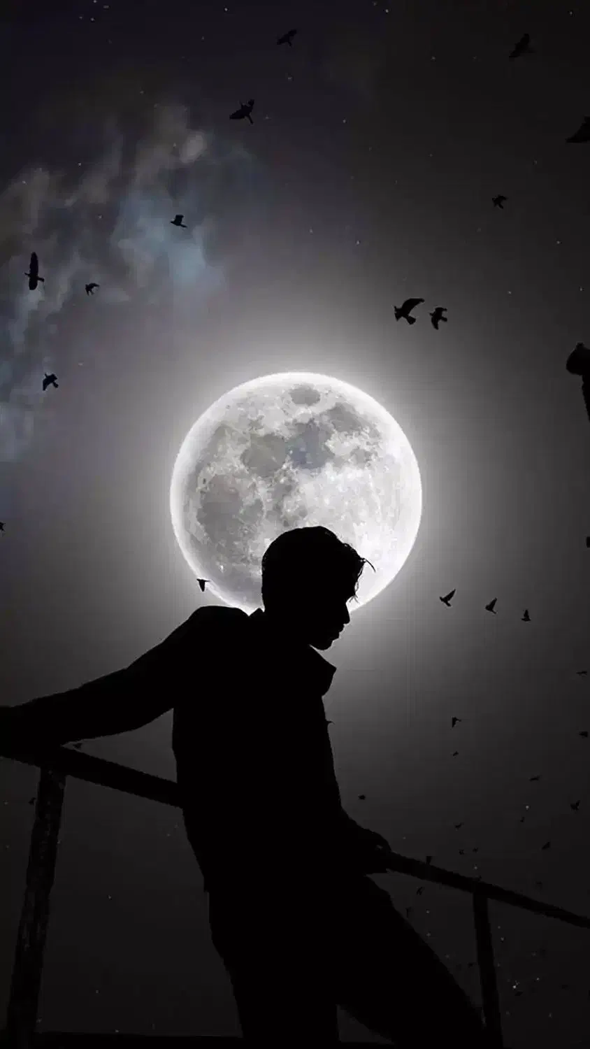 باشگاه کیک بوکسینگ|فعالیت داوطلبانه تحقیقاتی|زند, |دیوار