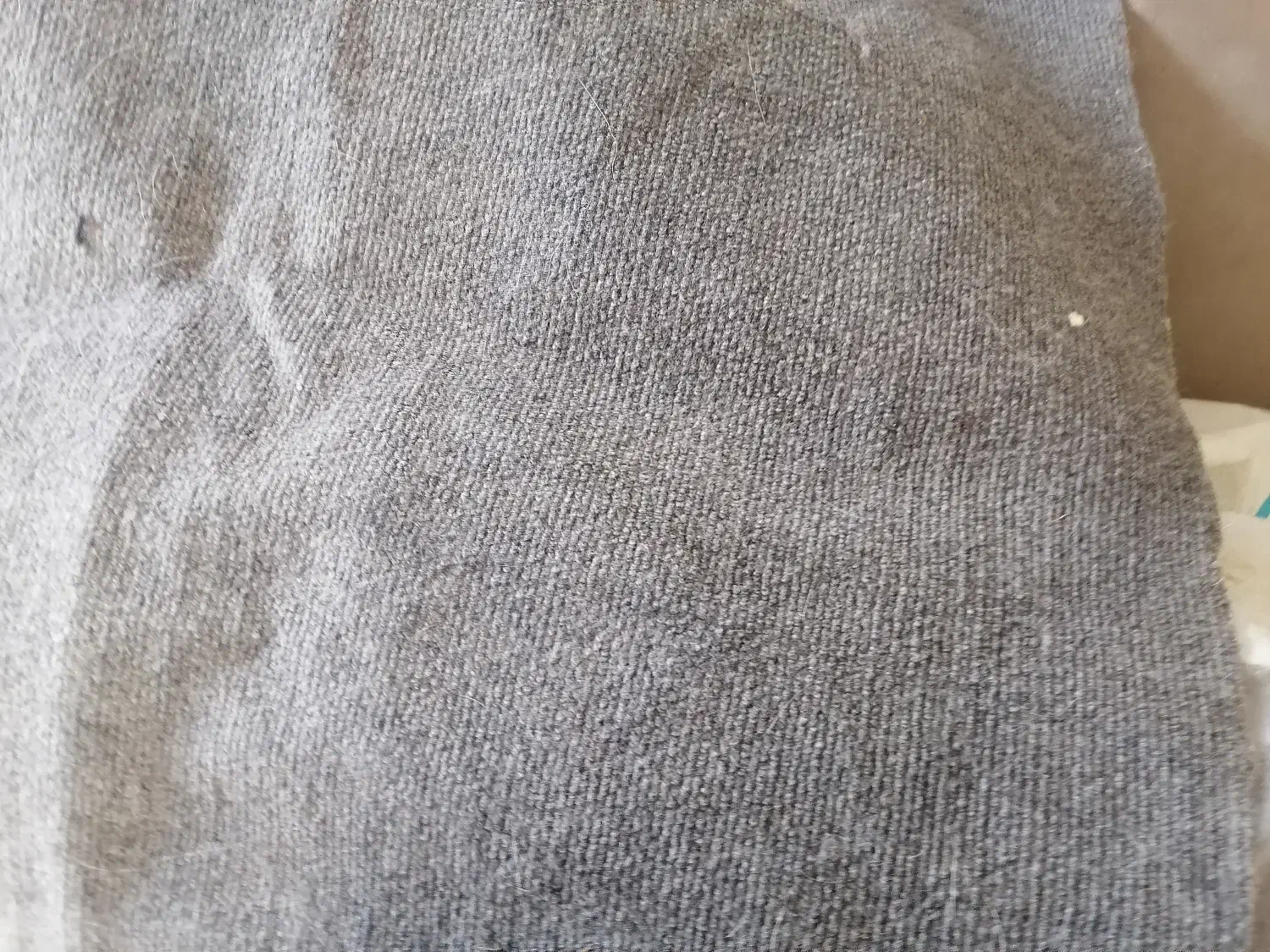 موکت|موکت|قائمشهر, |دیوار