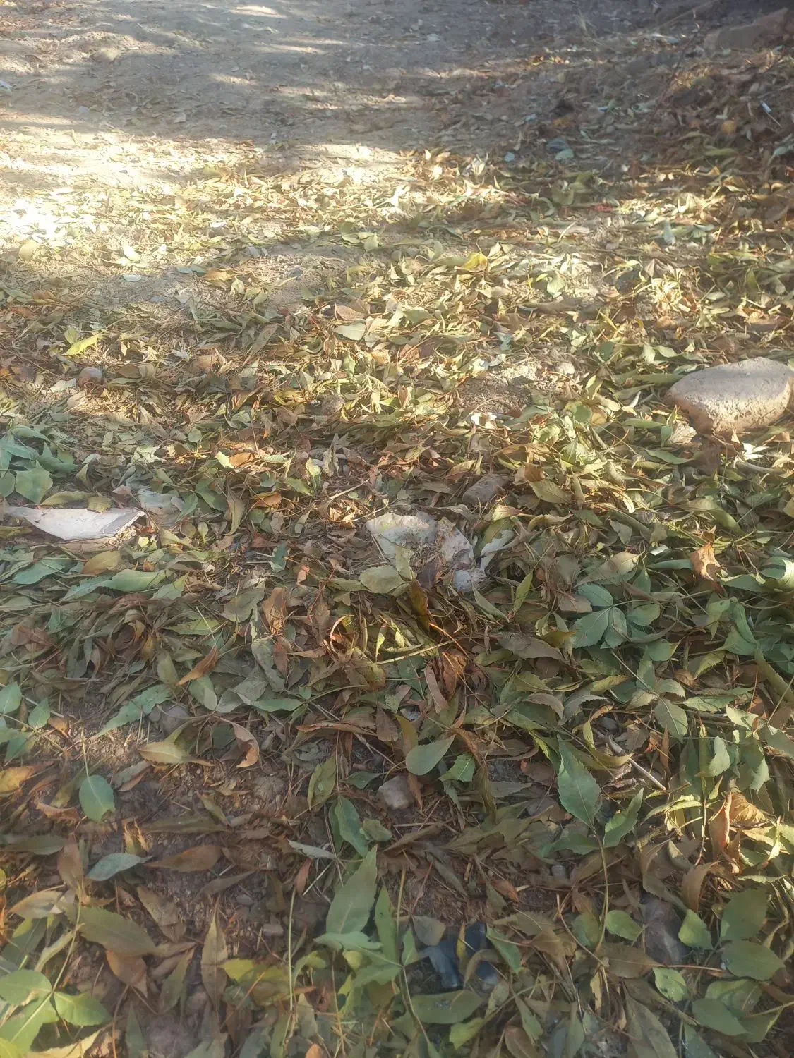 هزار متر زمین وآب برای ساخت باغ سند دار|فروش زمین و ملک کلنگی|خمین, |دیوار