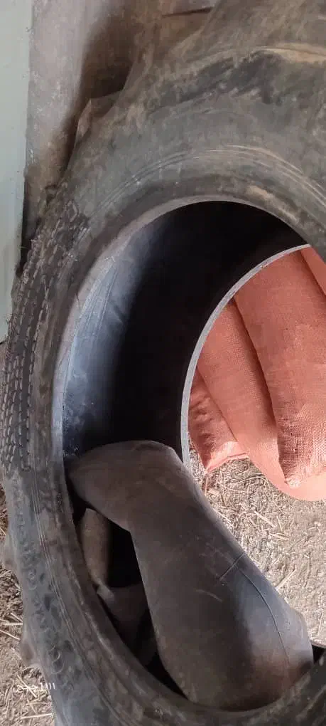 تایر|قطعات یدکی و لوازم جانبی|پارس‌آباد, |دیوار