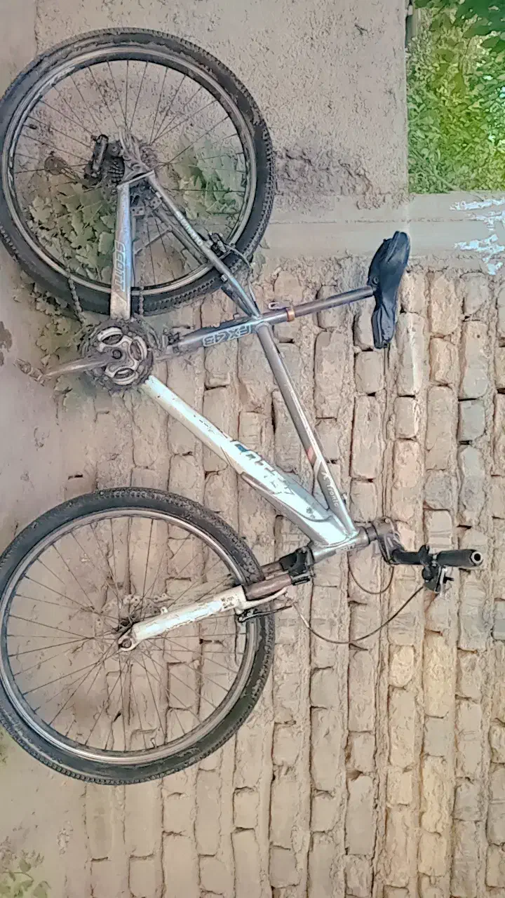 دوچرخه|دوچرخه، اسکیت، اسکوتر|گالیکش, |دیوار