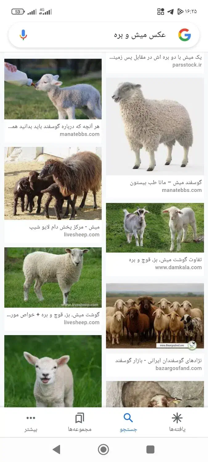 هورو کردن گوسفند میش و بره.بز و بزغاله|خدمات پیشه و مهارت|خزل, |دیوار