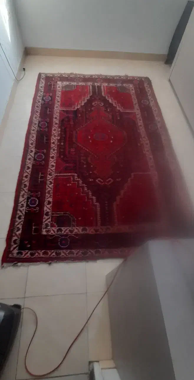 فرش دستی|فرش|رشت, فلسطین|دیوار