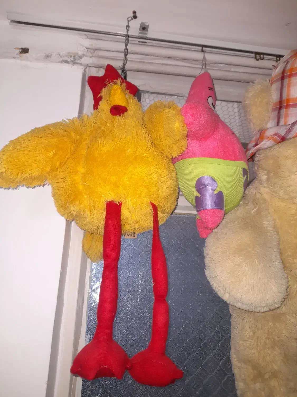 عروسک|اسباب‌‌بازی|اصفهان, کلمان|دیوار