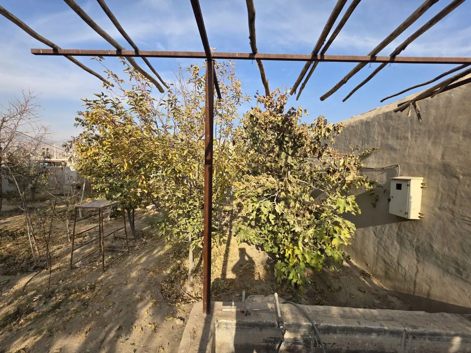 خانه باغ|فروش خانه و ویلا|مبارکه, |دیوار