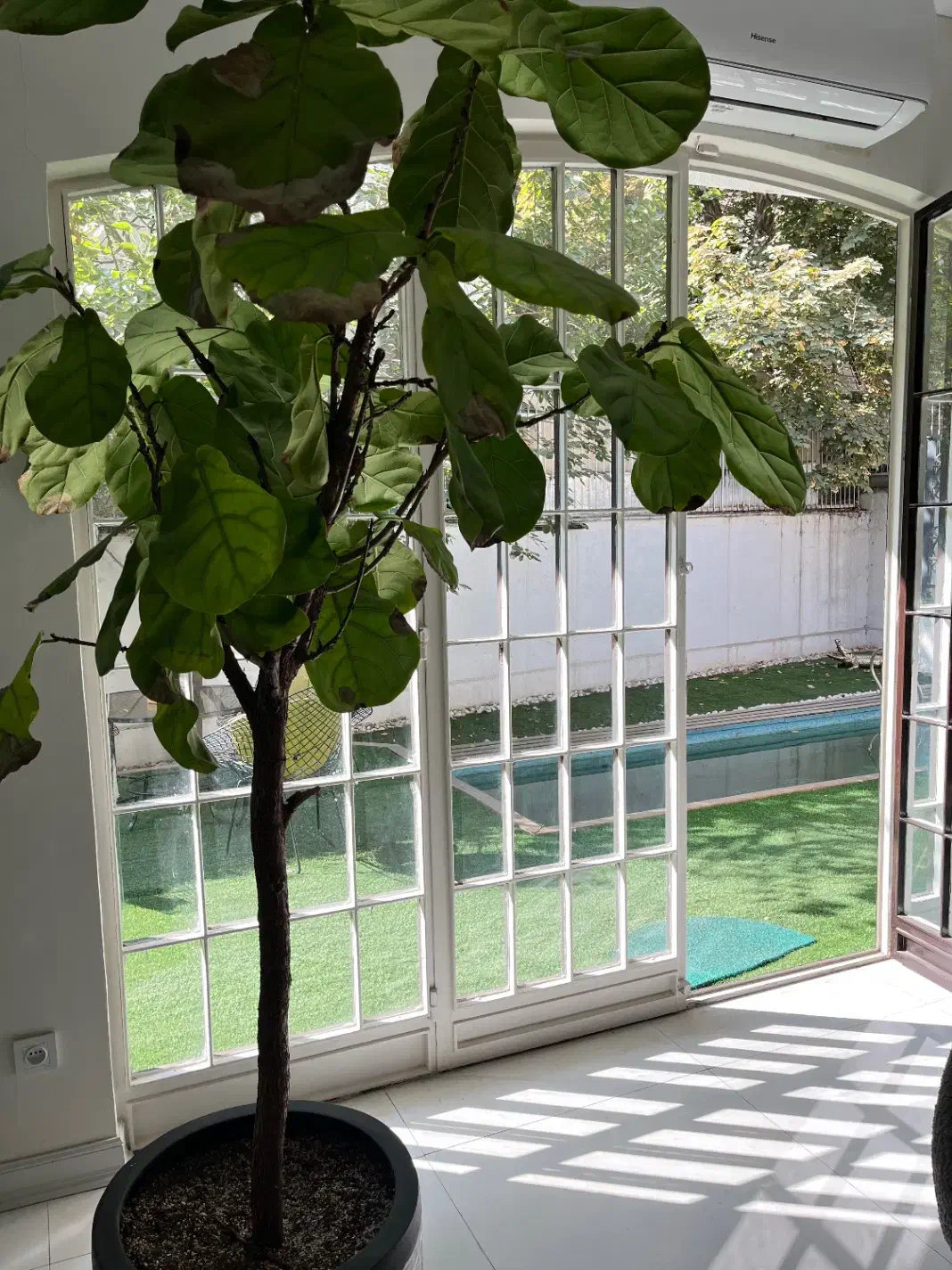 استخدام منشی و دستیار پزشک|استخدام درمانی، زیبایی، بهداشتی|تهران, الهیه|دیوار