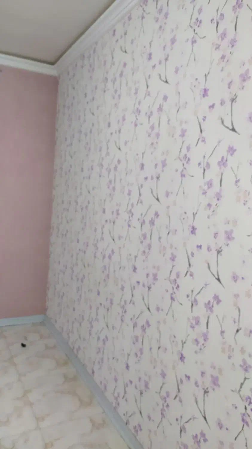 نصب انواع کاغد. ونقاش ساختمان|خدمات پیشه و مهارت|گرمسار, |دیوار