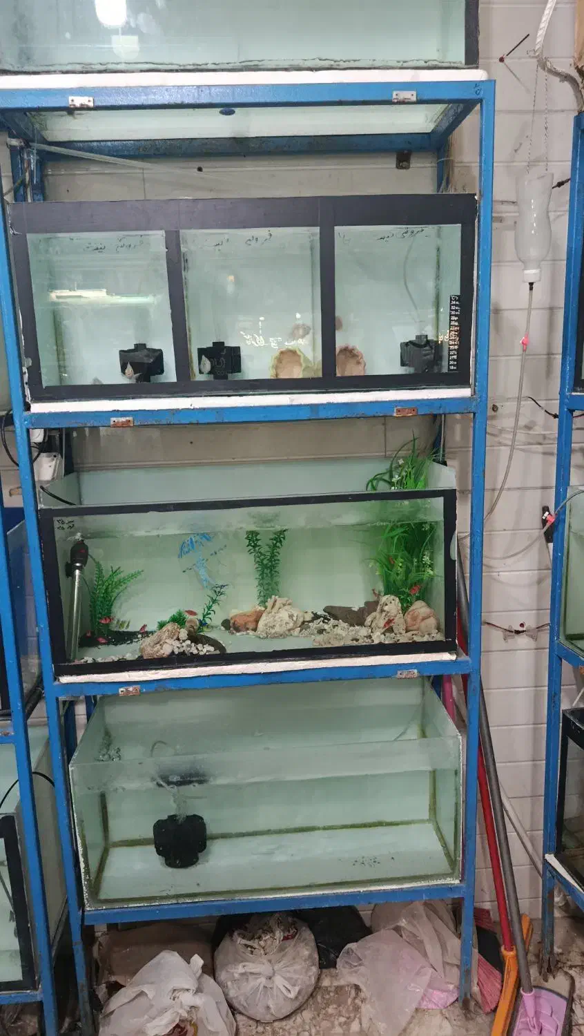 پایه و آکواریوم سه طبقه|ماهی|مشهد, اروند|دیوار