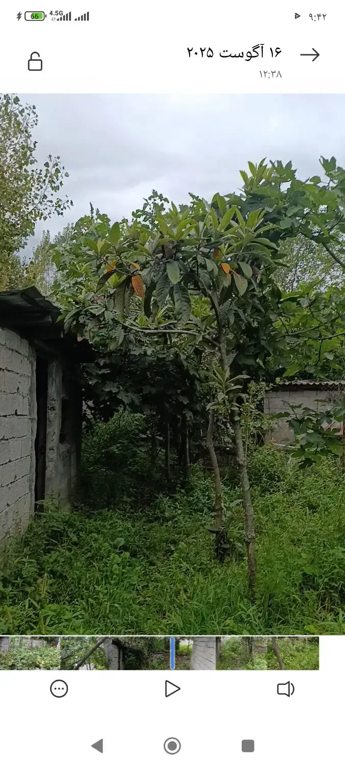 زمین مسکونی ویلایی|فروش زمین و ملک کلنگی|اردبیل, |دیوار