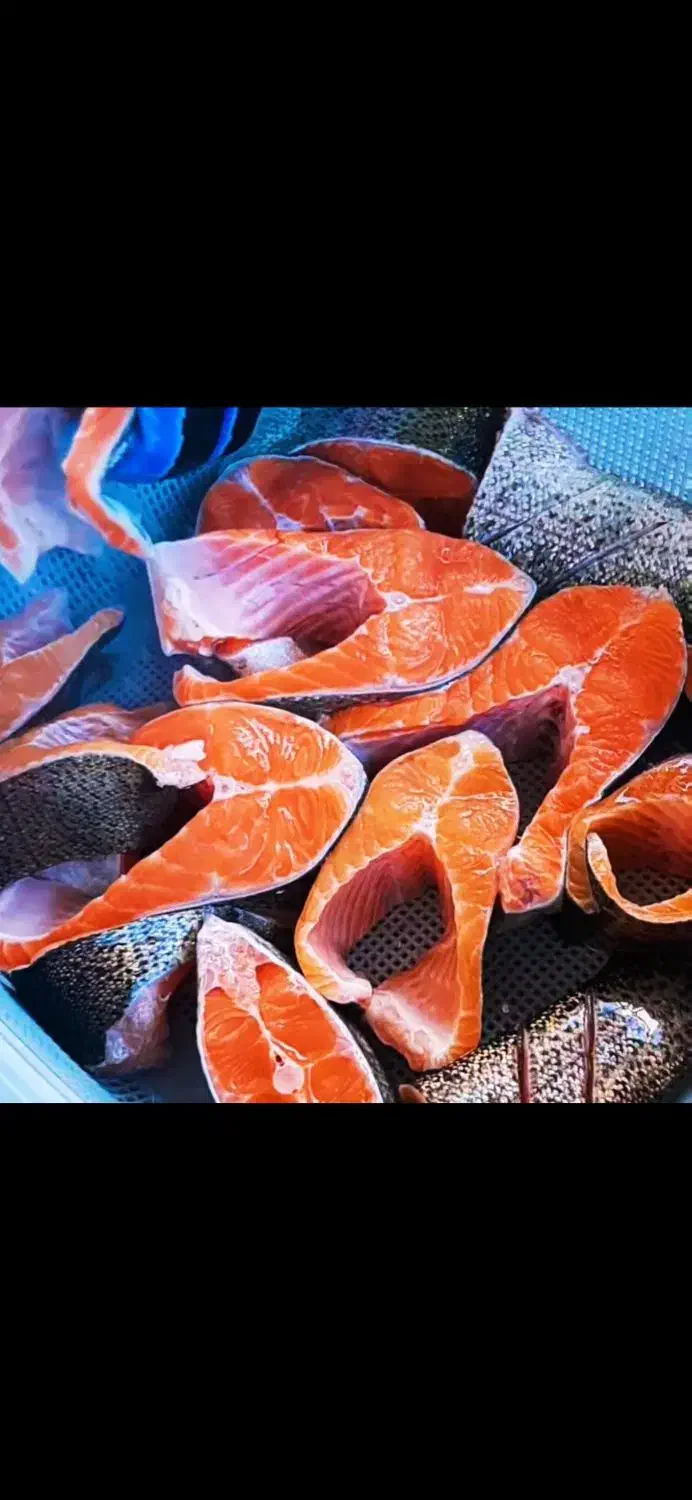 بچه ماهی تروت رنگین کمان|ماهی|لاهیجان, بازکیاگوراب|دیوار