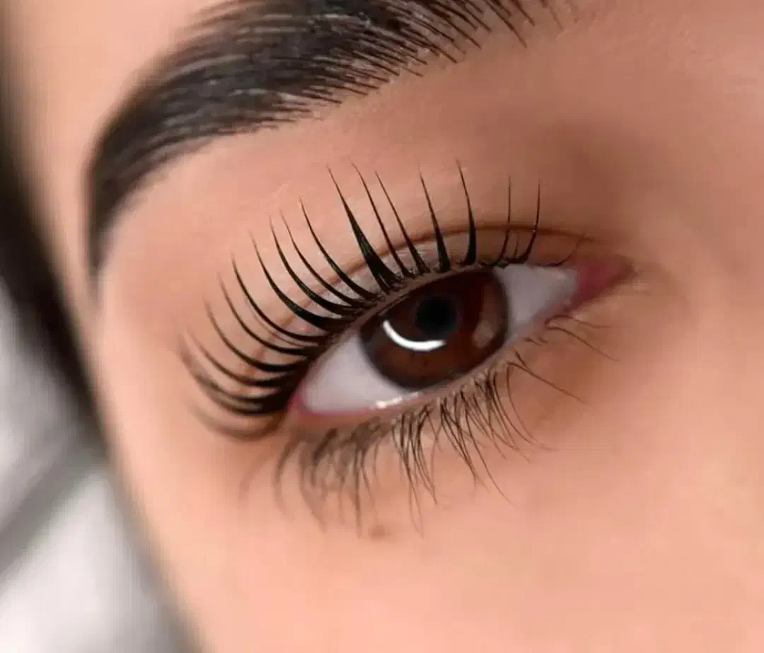 لیفت و لمینت مژه ابرو|خدمات آرایشگری و زیبایی|فلاورجان, |دیوار