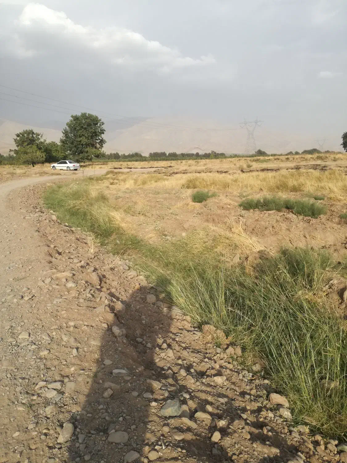 زمین کشاورزی 2000 فوشنجان|فروش زمین و ملک کلنگی|نیشابور, فضل|دیوار