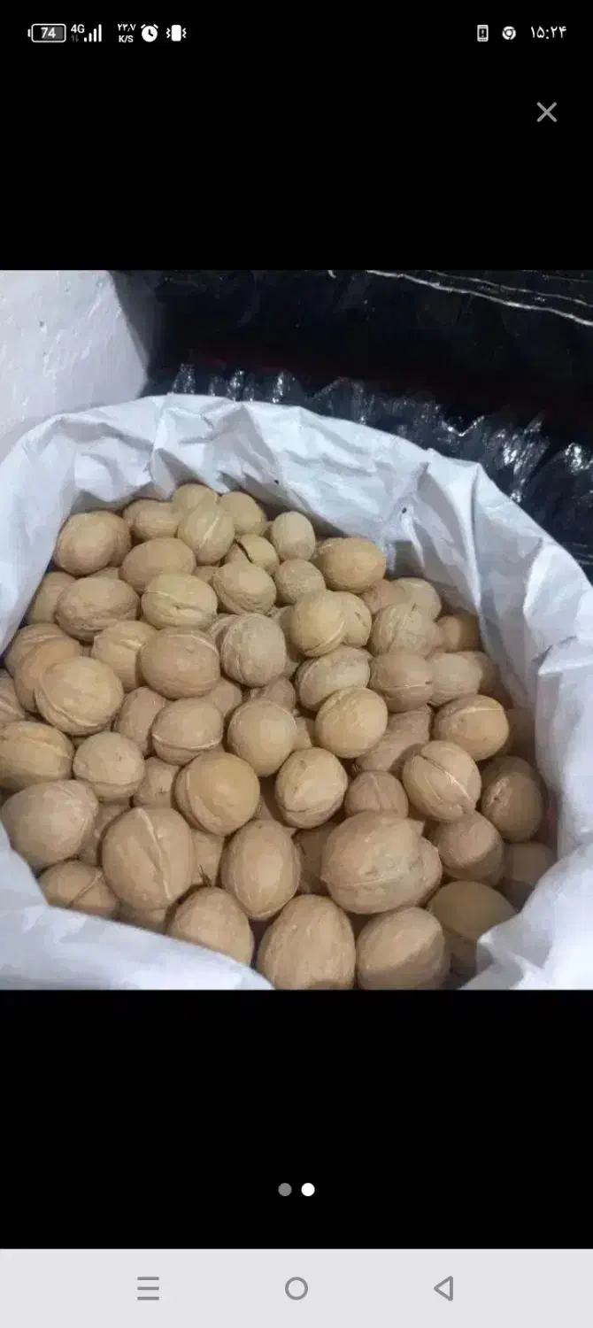 گردو درجه یک|خوردنی و آشامیدنی|اهواز, شهرک دانشگاه|دیوار